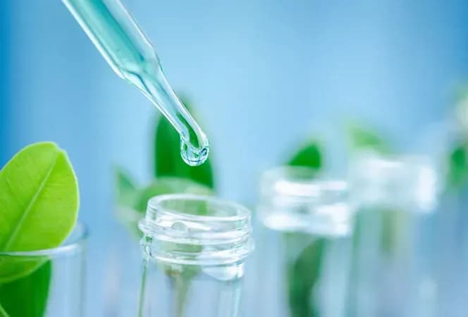 Imagine reprezentativă pentru Produse farmaceutice şi cosmetice