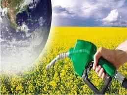 Imagine reprezentativă pentru Biorafinării şi bioproduse